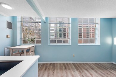 The Basilica unit 303, Charlestown, MA 02129 - photo 4