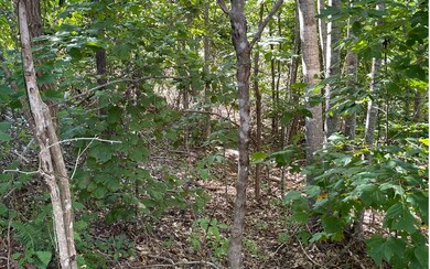 Additional View