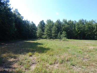 0 E Hayes Rd, Ashley, MI 48806 - photo 6