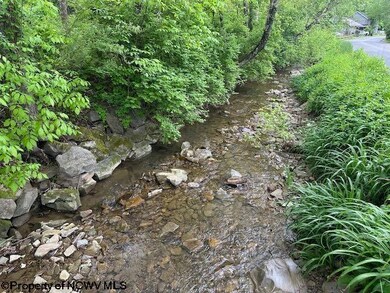 TBD Moyer Hollow Rd, Elkins, WV 26241 - photo 6