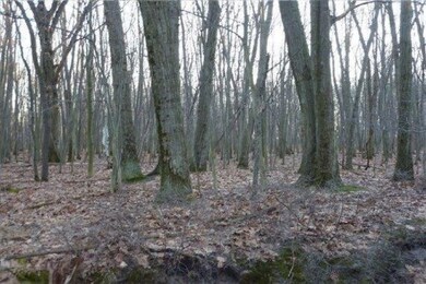 0 S Santiago Rd unit 14029177, Au Gres, MI 48703 - photo 5