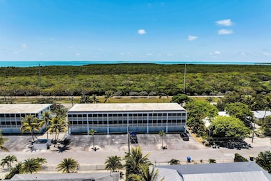 Drone of Building