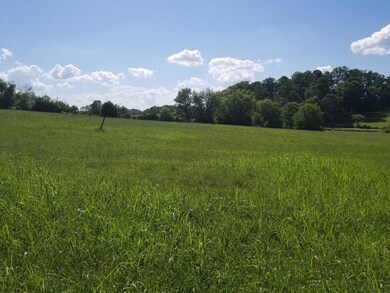 Lot 41 Tabor Rd, Greeneville, TN 37743 - photo 7
