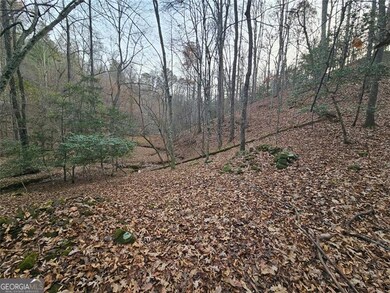 0 Garnet Dr unit 10648281, Ellijay, GA 30540 - photo 7