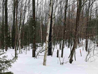 0 Timber Ln unit 4672942, Franconia, NH 03580 - photo 3