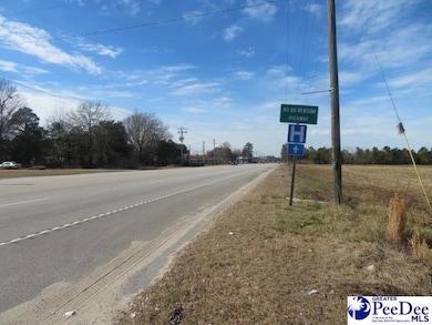 0 W Bobo Newsom Hwy, Hartsville, SC 29550 - photo 5