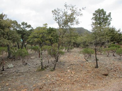 6530 W Ruin Hill Loop unit 150, Pine, AZ 85544 - photo 4