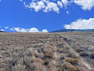 0 Blm Rd 5121 unit 830269, Monte Vista, CO 81144 - photo 7