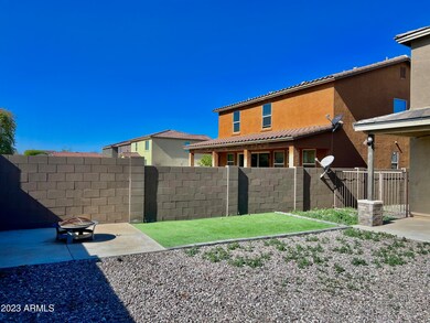 backyard 4