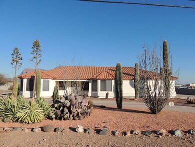 Front Cactus Garden