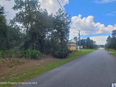 10298 Meadow Wren Ave, Weeki Wachee, FL 34613 - photo 3