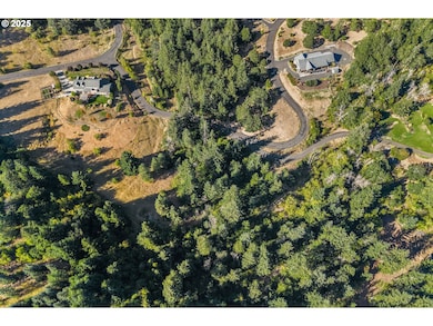 25 Jewett Creek Loop Rd, White Salmon, WA 98672 - photo 4