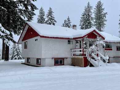 217 Snowy View Drive