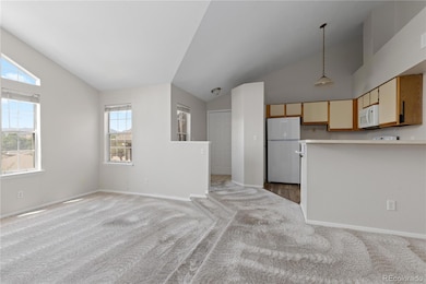 4760 S Wadsworth Blvd unit E301, Littleton, CO 80123 - photo 4