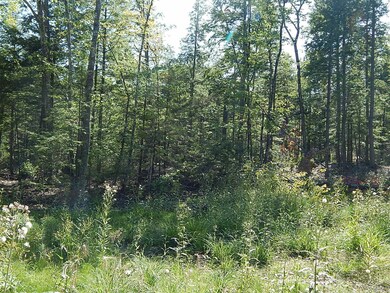 0 Fosterville Rd unit 1468005, Bridgton, ME 04009 - photo 5