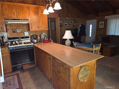 31116 All View Dr, Running Springs, CA 92382 - photo 4