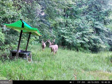 0 River Ln unit 10577862, Juliette, GA 31046 - photo 7