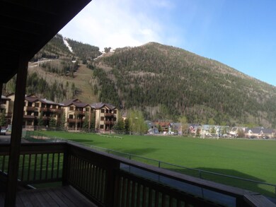 View to the Ski area (south)