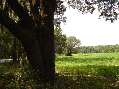 Toogoodoo Rd - Carr (7)