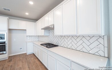 25035 Las Pilas, San Antonio, TX 78261 - photo 4