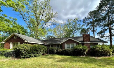 3750 Ga Hwy 313, Sylvester, GA 31791 - photo 3