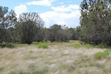 Tbd High Mountain Rd, Peach Springs, AZ 86434 - photo 7
