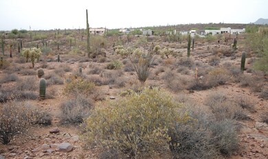 view to the west