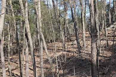 21 Deer Path, East Stroudsburg, PA 18302 - photo 4