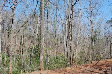 Looking back toward Laurel Way