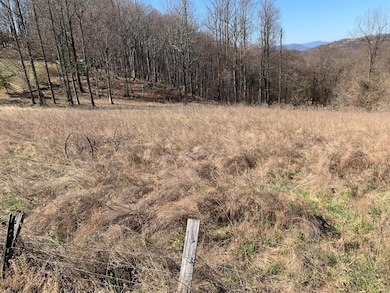 0 Wooldridge Rd, Blue Ridge, VA 24064 - photo 5