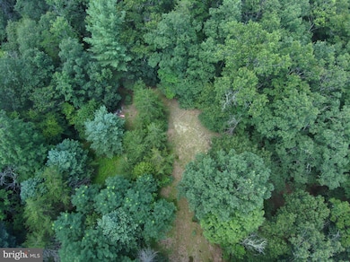 276 Cullers Run Rd, Mathias, WV 26812 - photo 7