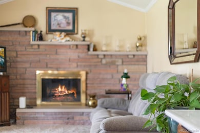 3158 S Dayton Ct, Denver, CO 80231 - photo 4