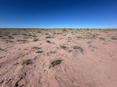 Tbd Unnamed Dirt Rd, Sun Valley, AZ 86025 - photo 6