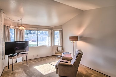 silverfield-103