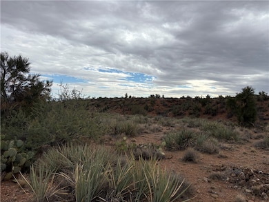 n/a Twin Hills Rd, Kingman, AZ 86401 - photo 4