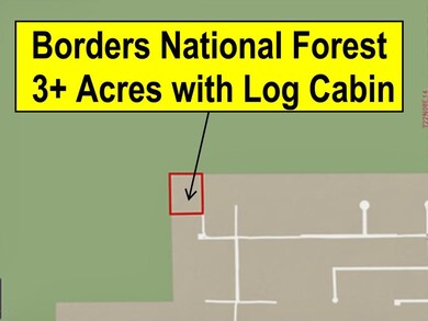 10500 N Diannna Place Map Borders Forest