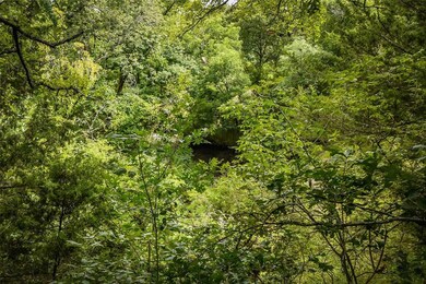 TBD White Dove Trail, Denison, TX 75020 - photo 5