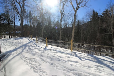 22 Emerson Way unit B1, Waterville Valley, NH 03215 - photo 6