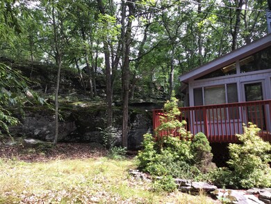 803 Boulder Ct N, Blooming Grove Township, PA 18428 - photo 4