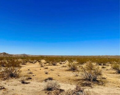 0 Dennis Ave unit CV25180736, Joshua Tree, CA 92252 - photo 3