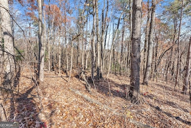 LOT 26 & 27 Spring Crest Rd, Cleveland, GA 30528 - photo 4