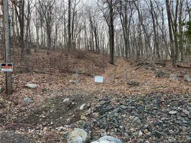 0 Andrew Mountain Rd unit 170603648, Naugatuck, CT 06770 - photo 6