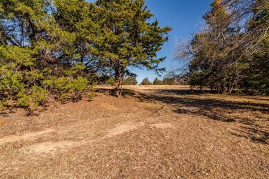 3.126 Dugan Chapel Rd, Bells, TX 75414 - photo 2