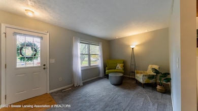 5251 Renee St, Lansing, MI 48911 - photo 4