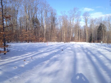 0 Elkland Dr unit 294275, Vanderbilt, MI 49795 - photo 2