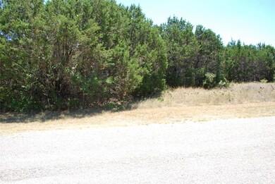 29021 Whisperwood Dr & Radde Rd, Whitney, TX 76692 - photo 4