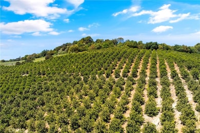 27 Vía Escalon, Temecula, CA 92590 - photo 6