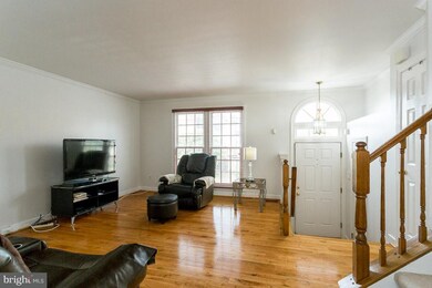5105 Beauregard St, Alexandria, VA 22312 - photo 5