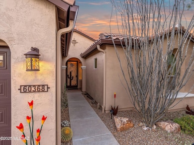 60368 E Arroyo Vista Dr, Oracle, AZ 85623 - photo 5