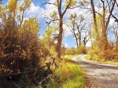 Meander through the woods on the private lane